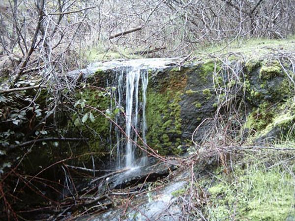 Miscellaneous Pictures