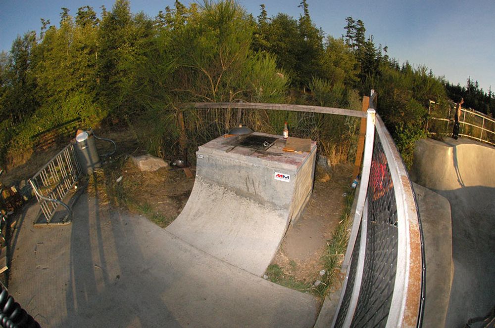RE: Shit I would like to skate.