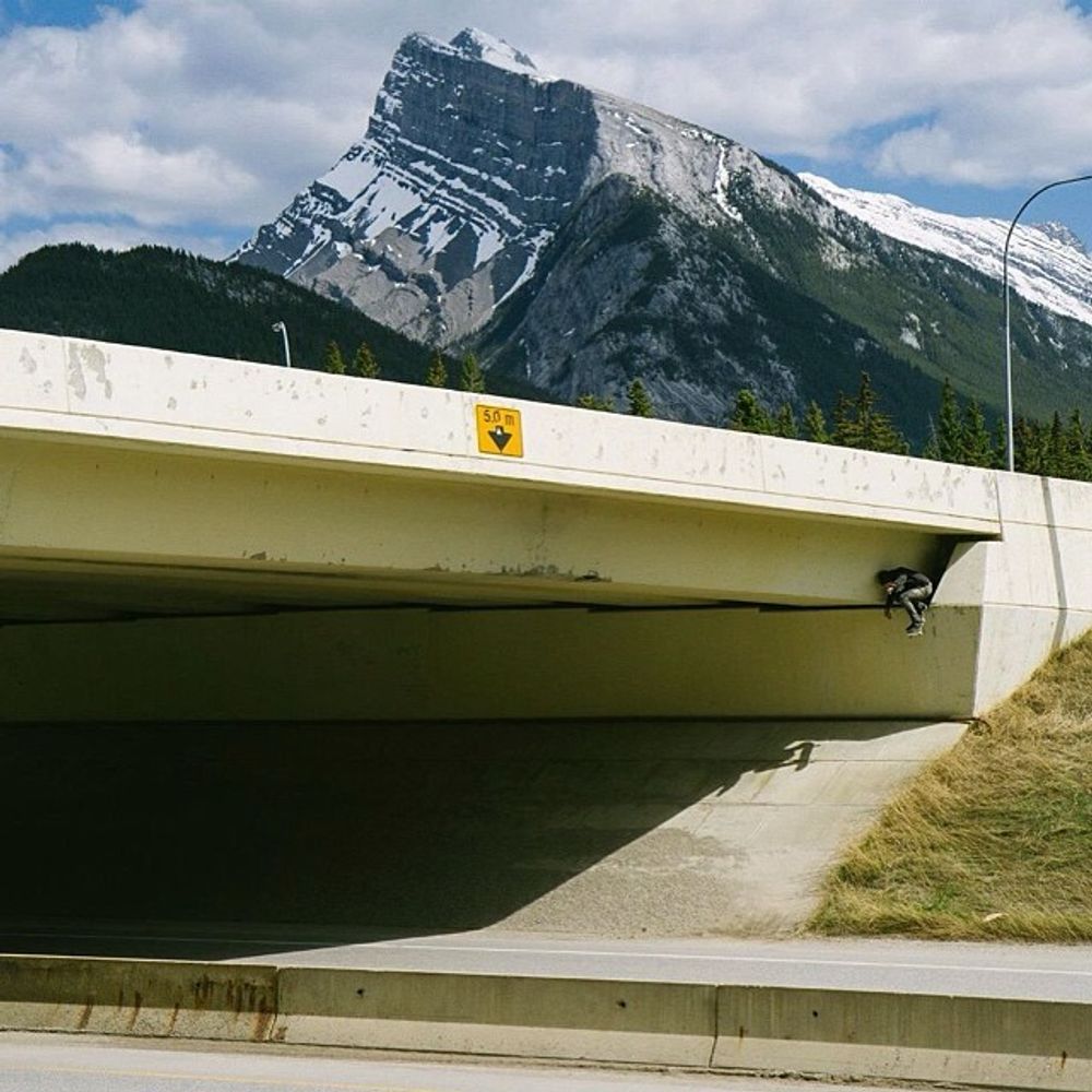 Tail dropping in banff photo @