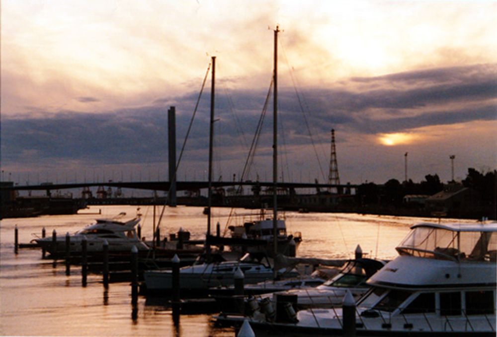 Miscellaneous Pictures