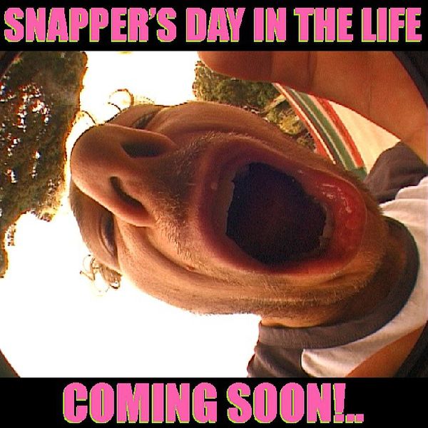 @snapper_1 Day In The Life vid