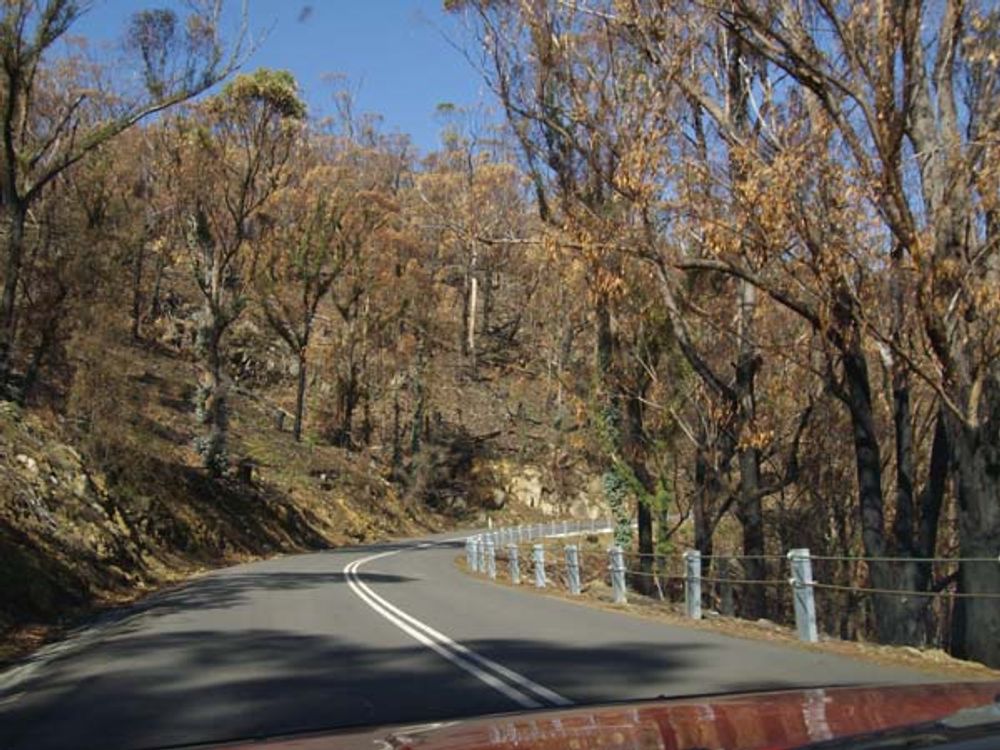 RE: TASSIE SKATERS TALK HERE!
