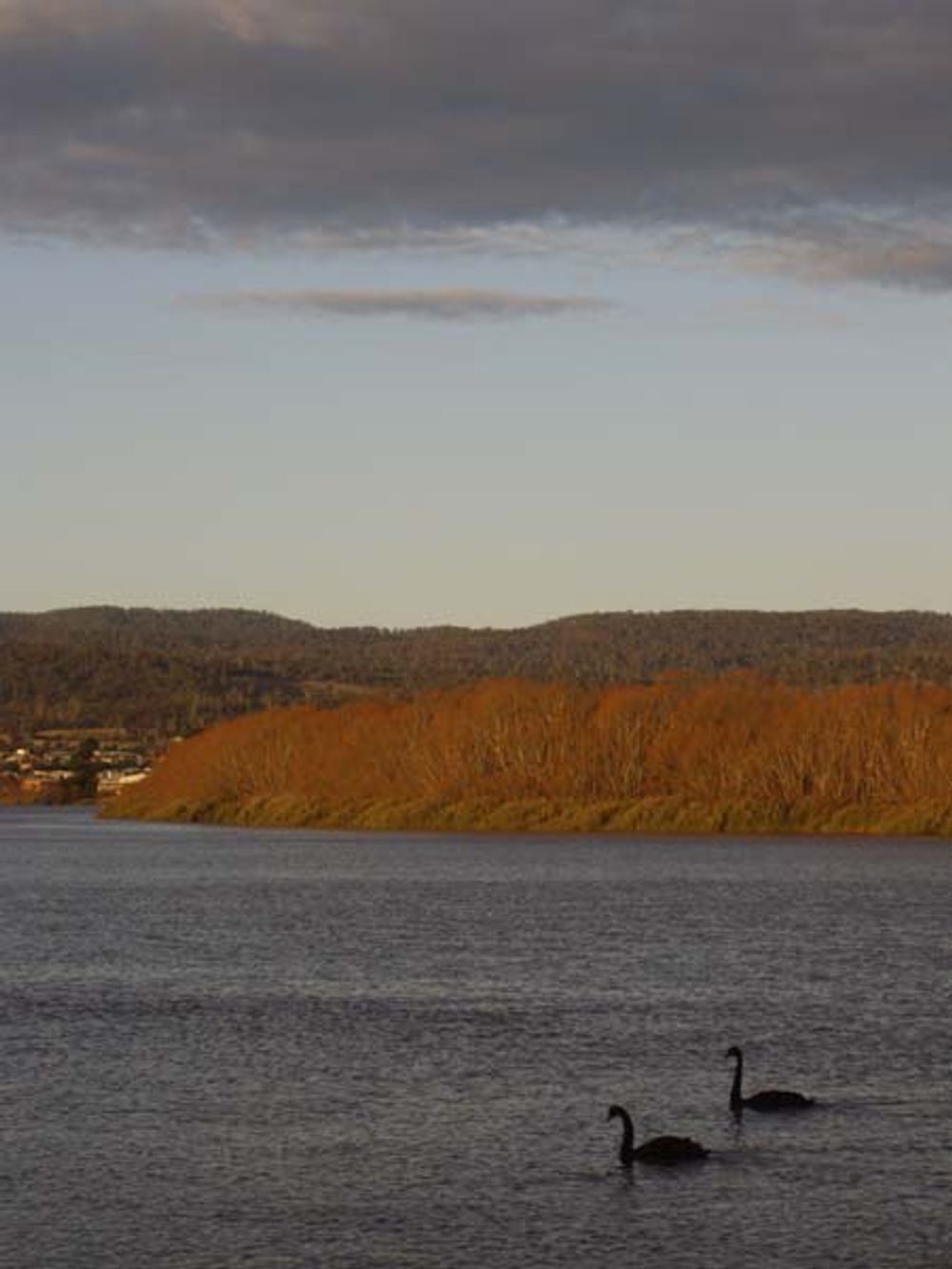 RE: TASSIE SKATERS TALK HERE!