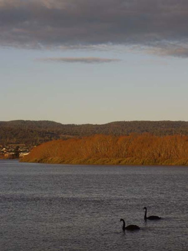 TASSIE SKATERS TALK HERE!