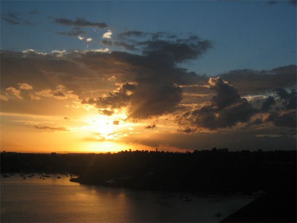 Miscellaneous Pictures