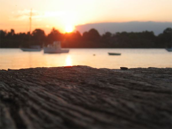 Miscellaneous Pictures