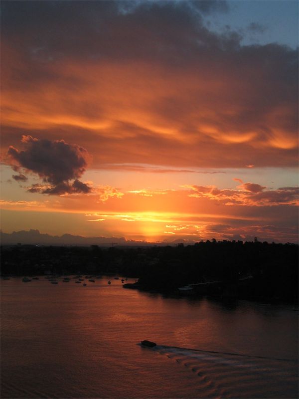 Miscellaneous Pictures