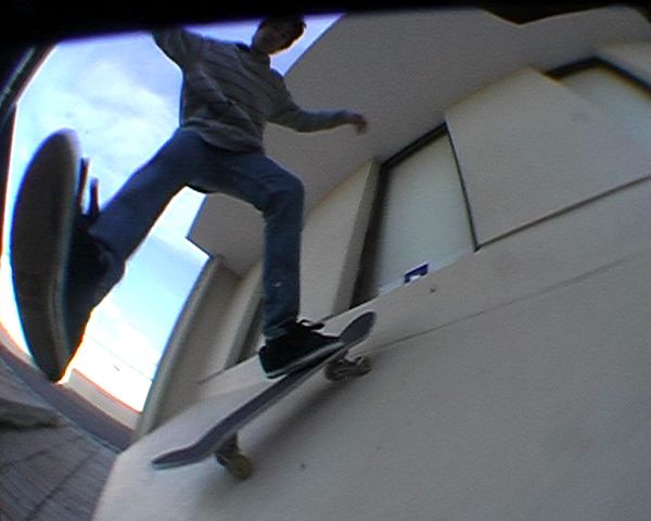 TASSIE SKATERS TALK HERE!