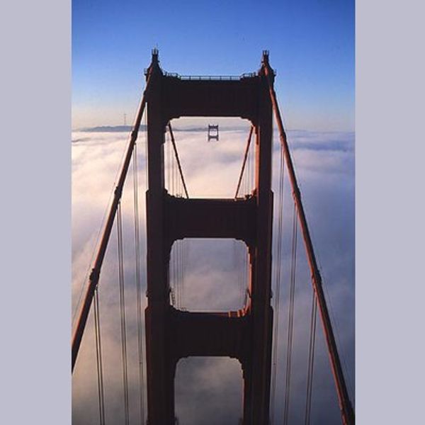Miscellaneous Pictures