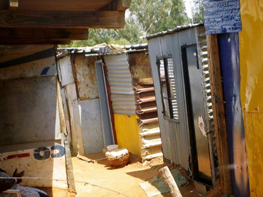 re: Miscellaneous Pictures