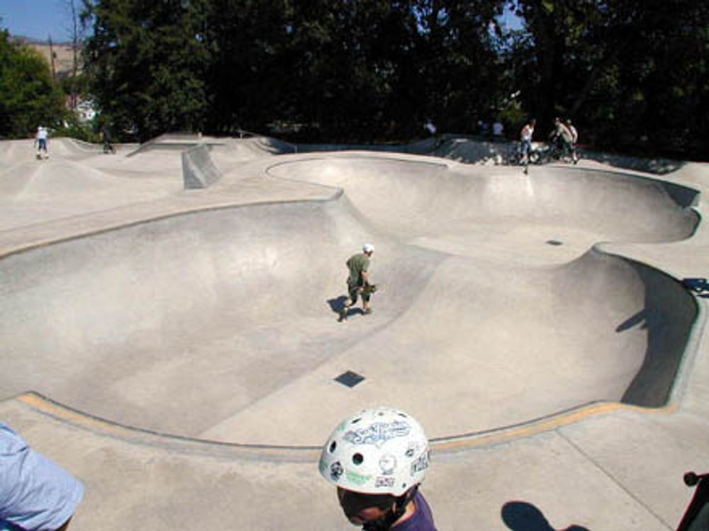 RE: Shit I would like to skate.