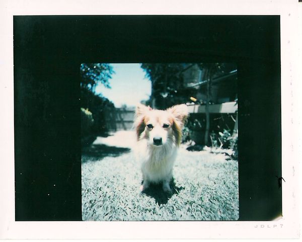 Miscellaneous Pictures