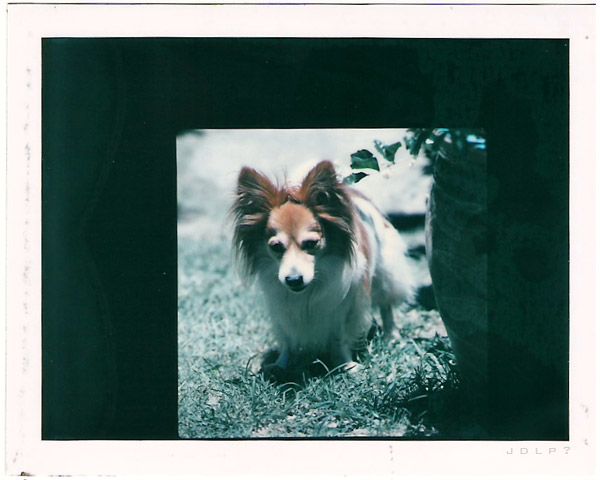 Miscellaneous Pictures