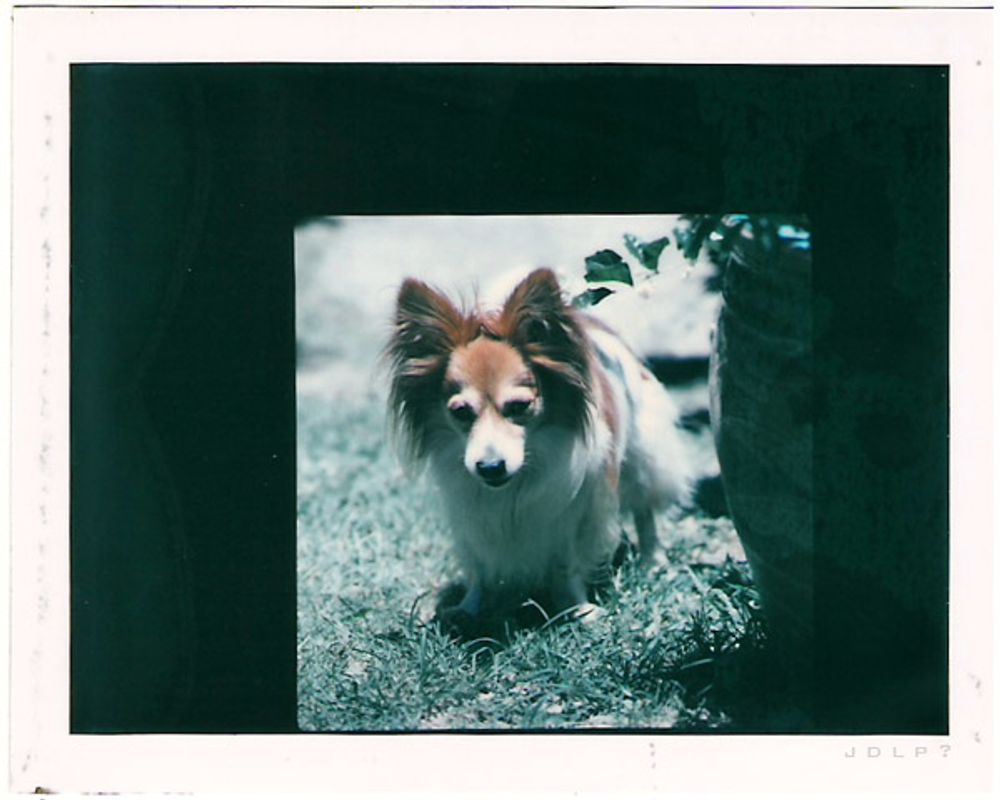 RE: Miscellaneous Pictures