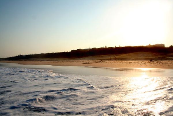 Miscellaneous Pictures