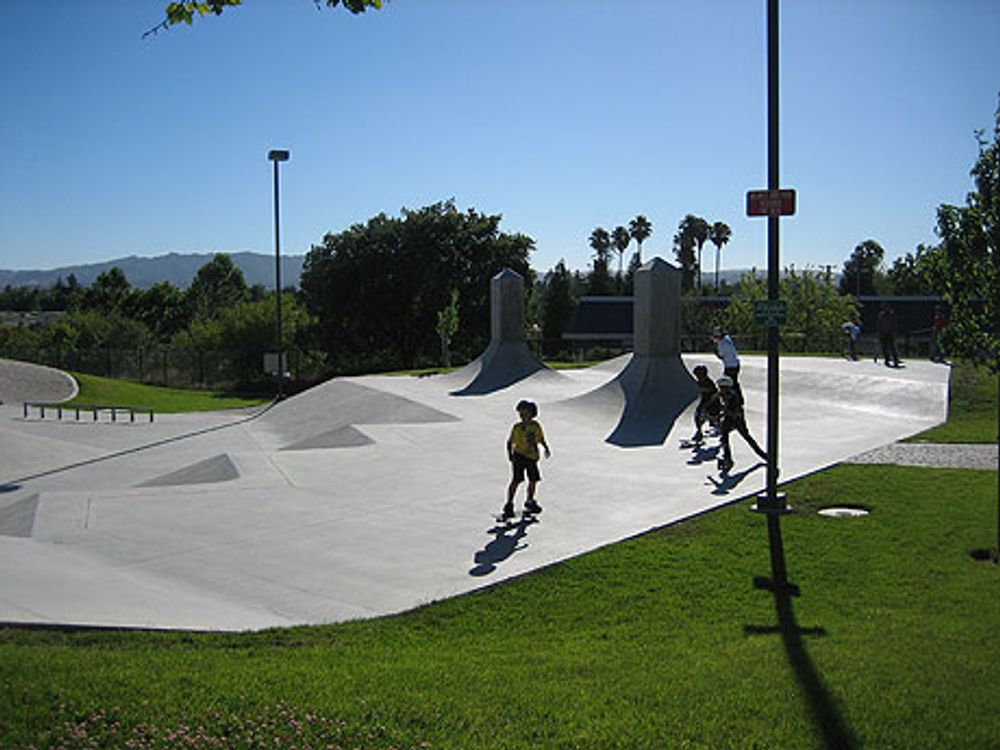 RE: Shit I would like to skate.