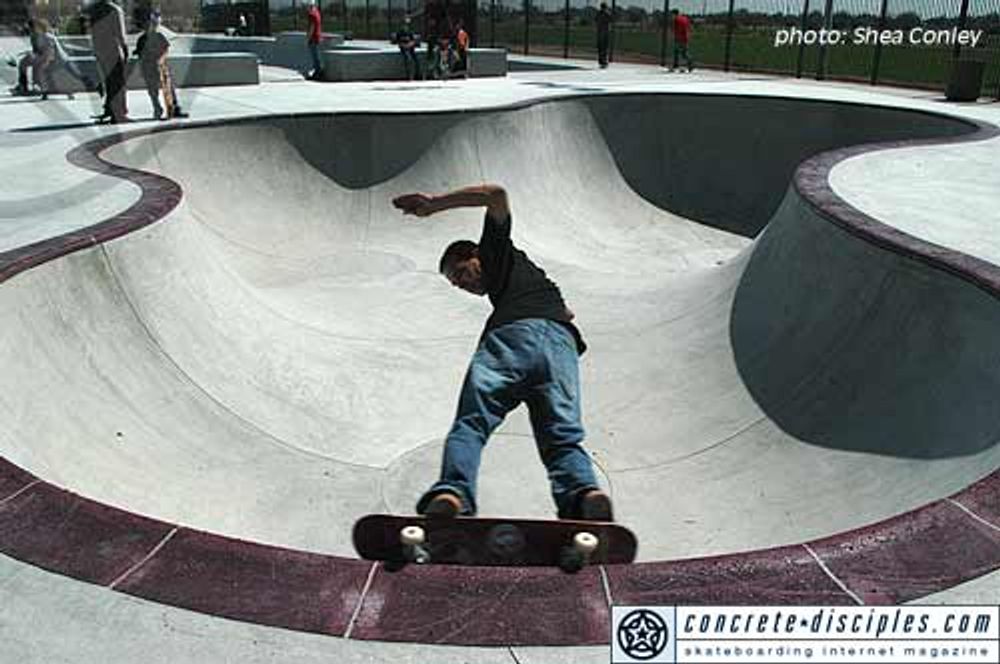RE: Shit I would like to skate.