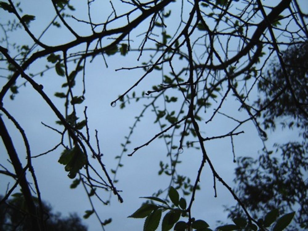RE: Miscellaneous Pictures