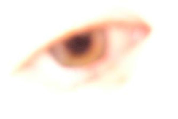 Miscellaneous Pictures