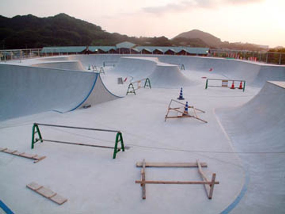 RE: Shit I would like to skate.