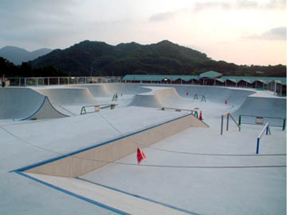 RE: Shit I would like to skate.