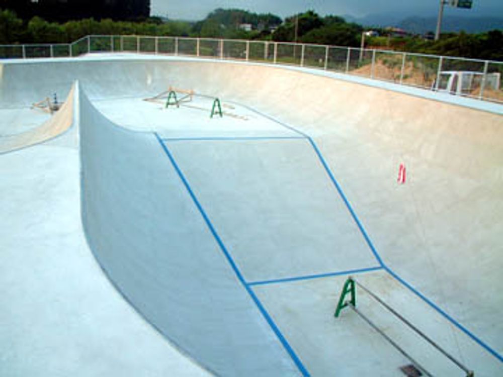RE: Shit I would like to skate.