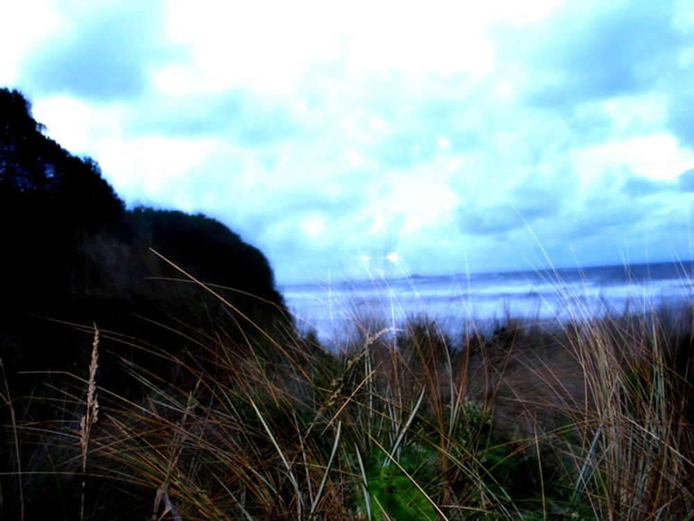 Miscellaneous Pictures