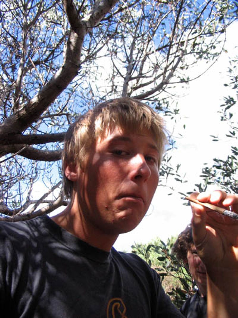 RE: TASSIE SKATERS TALK HERE!