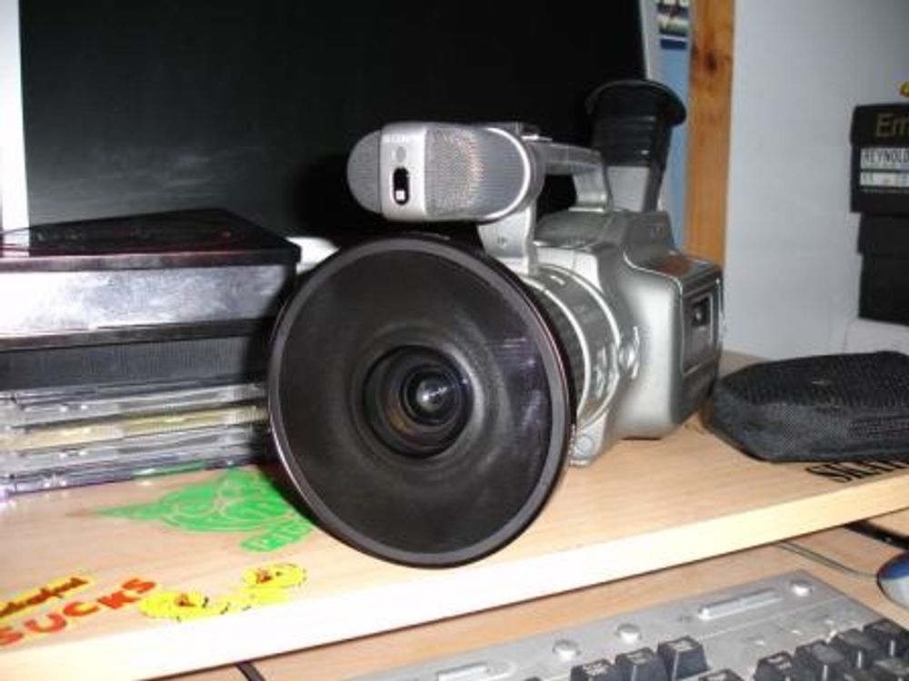 RE: TASSIE SKATERS TALK HERE!