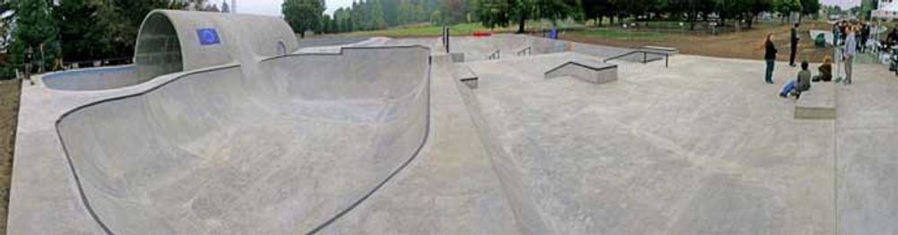 RE: Shit I would like to skate.