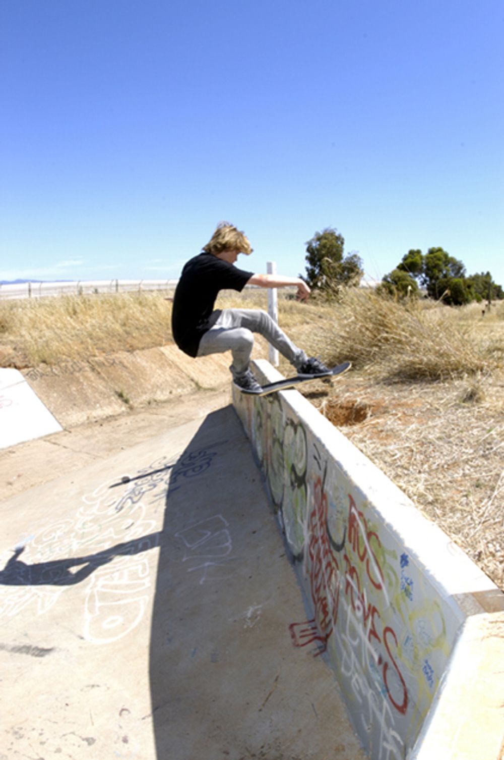 RE: ADELAIDE SKATERS TALK HERE!!