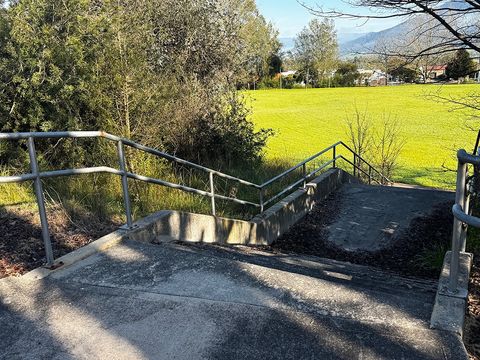 Corryong Monster  photo 3