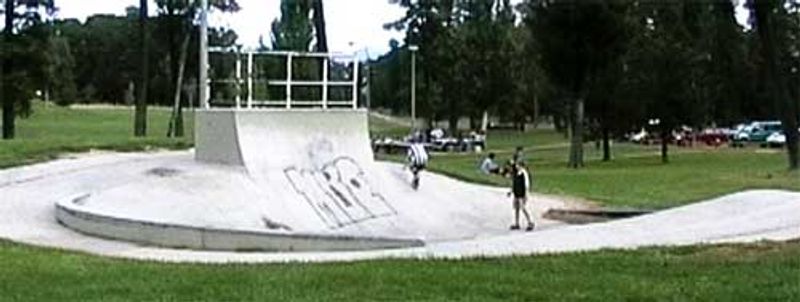 Fadden Pines