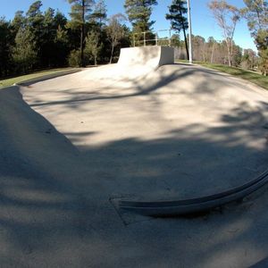 Fadden Pines