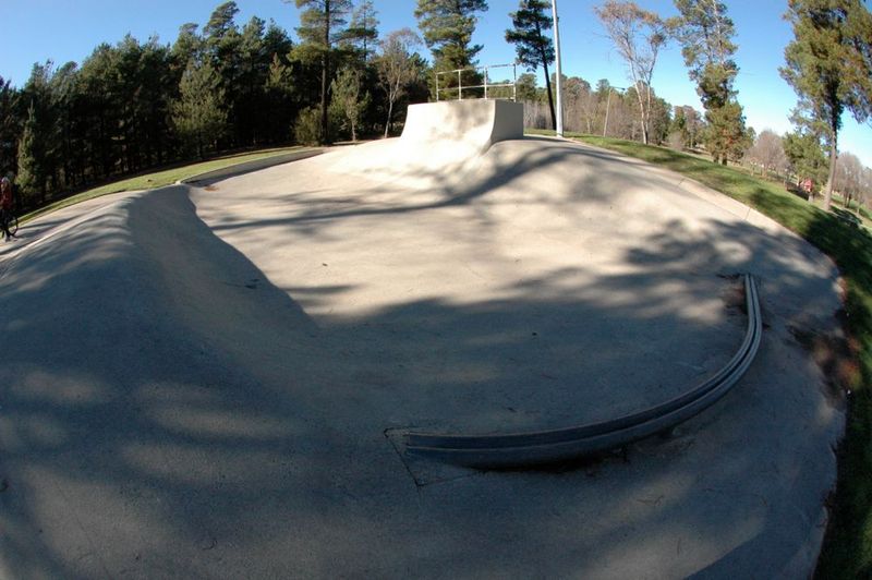 Fadden Pines