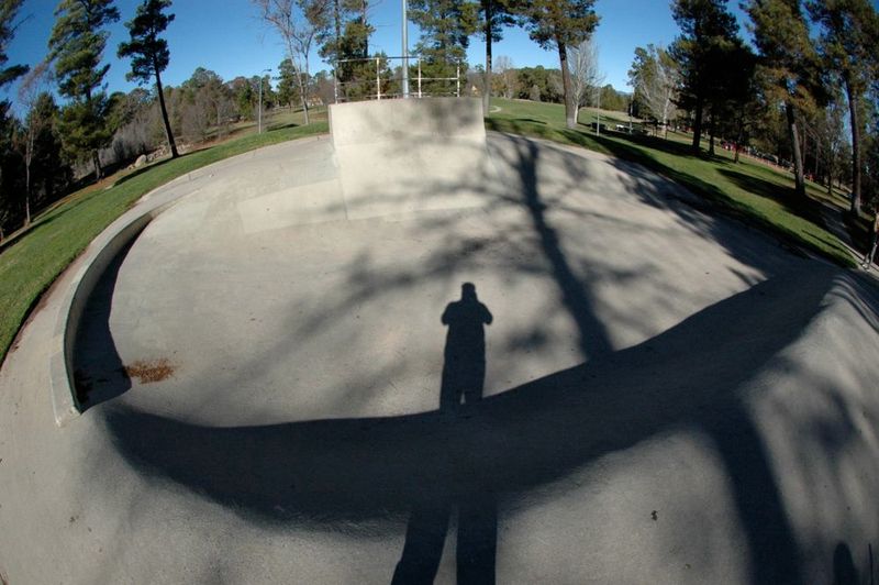 Fadden Pines