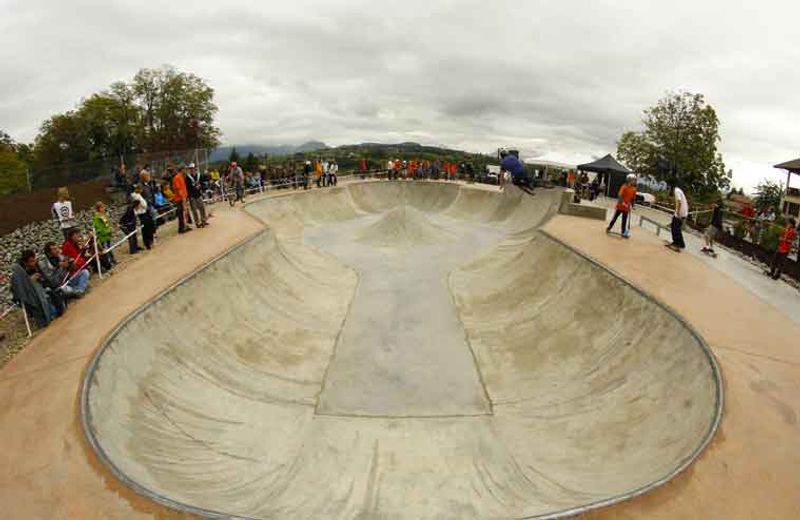 Fillinges Bowl