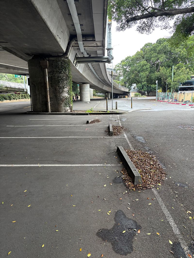 Old Fish Market Curbs 