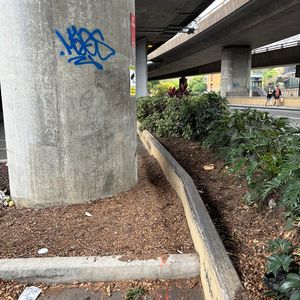 Fisho Garden Ledge 