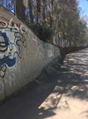 Fivedock Drains