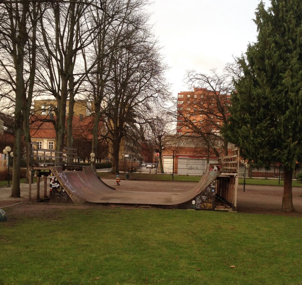 Flokets Park Mini Ramp 