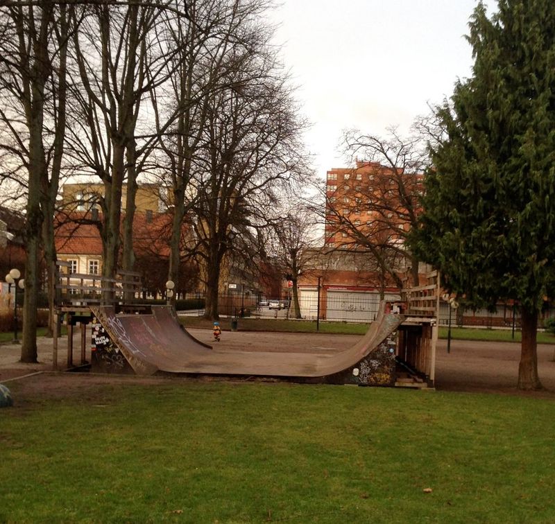 Flokets Park Mini Ramp 