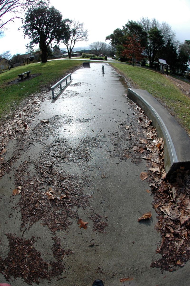 Forrest Skatepark