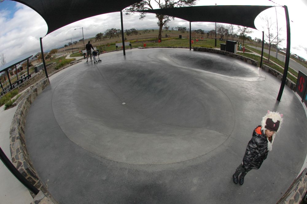 Franklin Dish