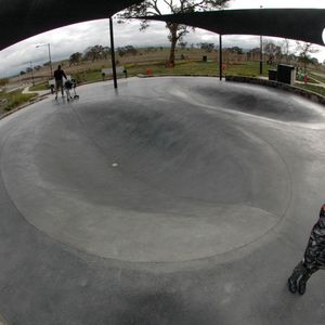 Franklin Dish