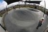 Franklin Dish