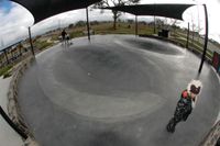 Franklin Dish