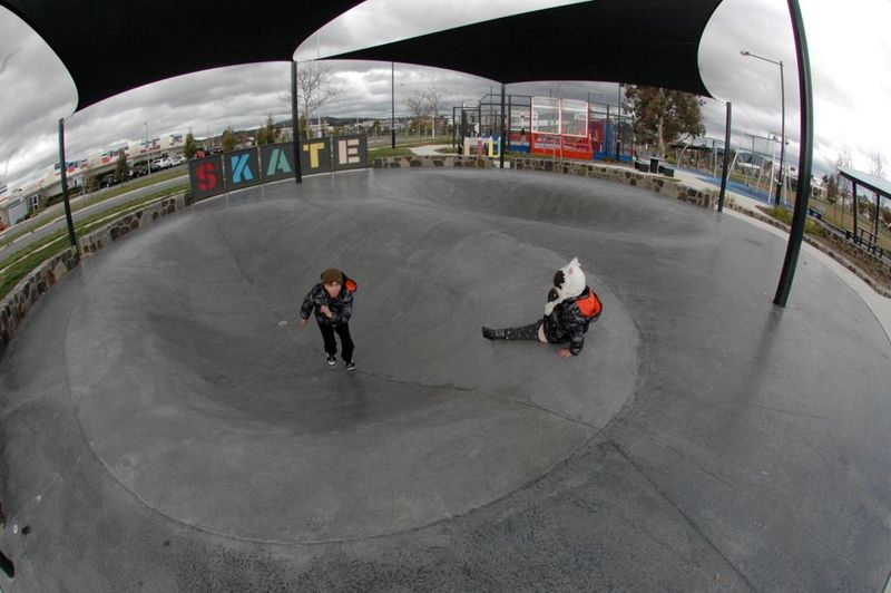 Franklin Dish