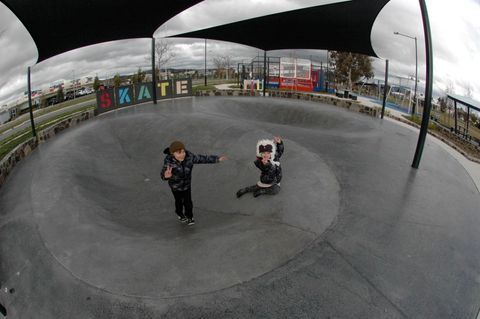 Franklin Dish photo 3
