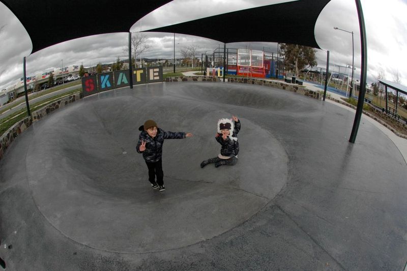 Franklin Dish